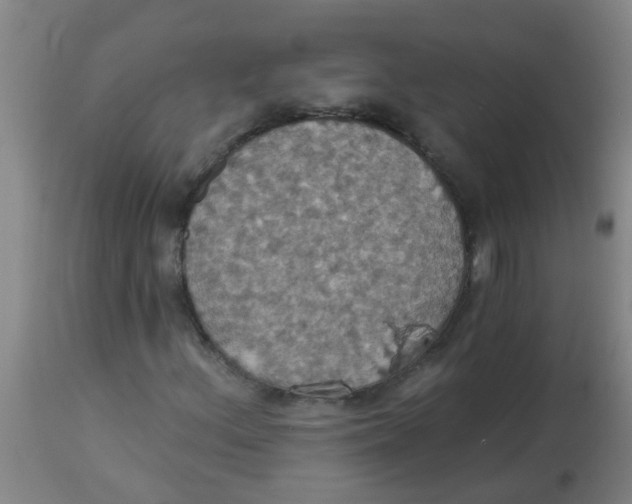 X0000113231156200910081359