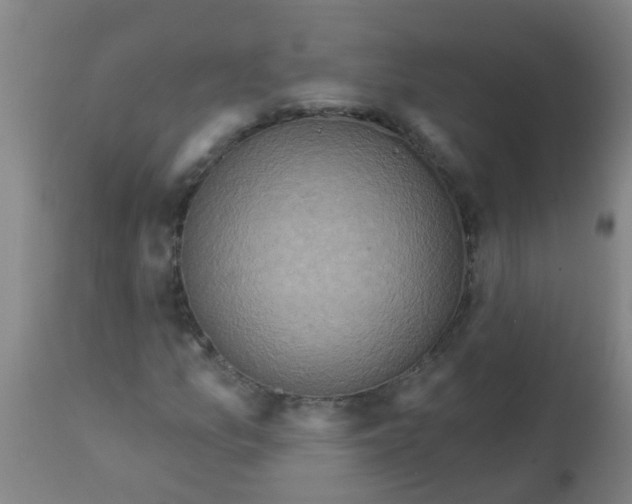 X0000113231157200910081359