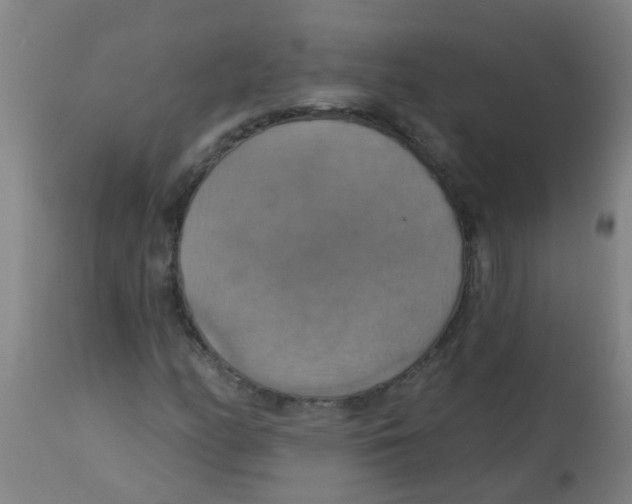 X0000113231158200910081359