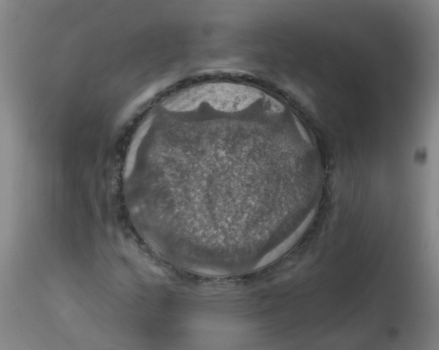 X0000113231159200910081359