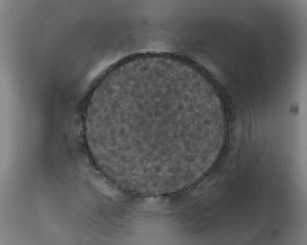 X0000113231160200910081359