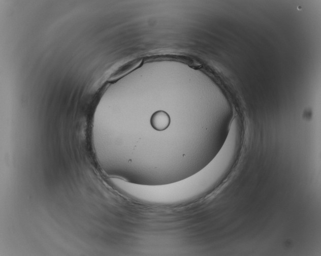 X0000113231161200910081359