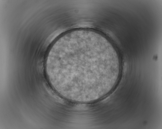 X0000113231162200910081359