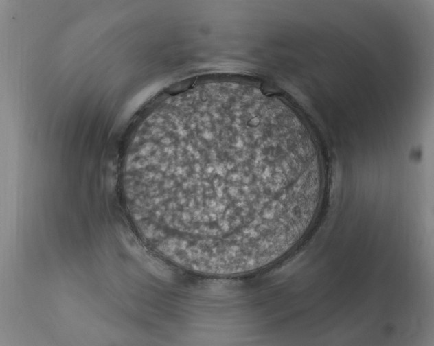 X0000113231163200910081359