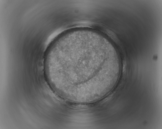 X0000113231164200910081359