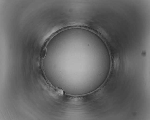 X0000113231165200910081359