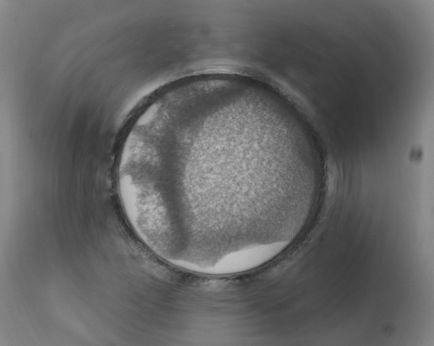 X0000113231166200910081359