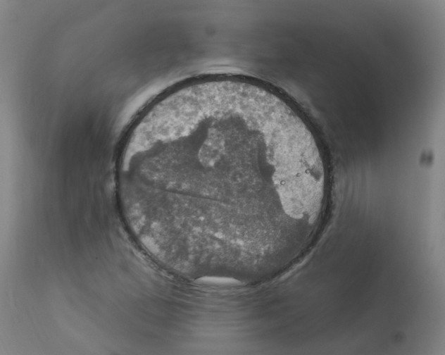 X0000113231167200910081359