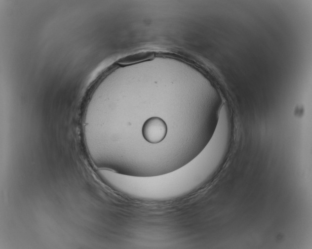 X0000113231168200910081359