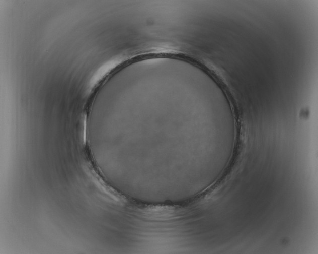 X0000113231171200910081359