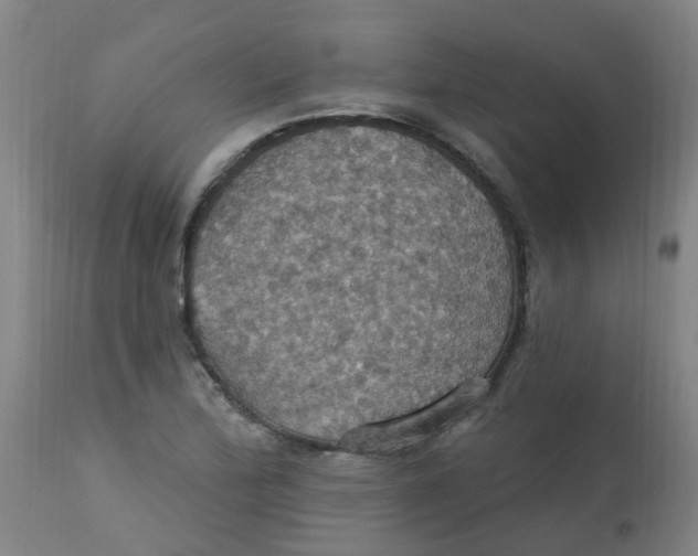 X0000113231172200910081359