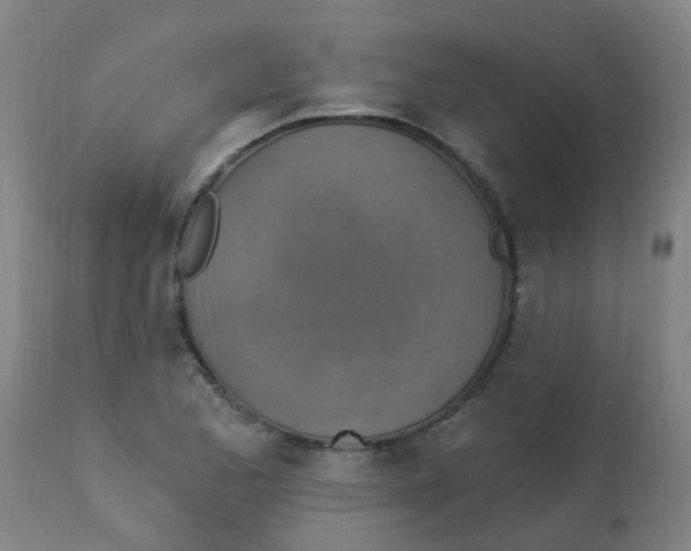 X0000113231173200910081359