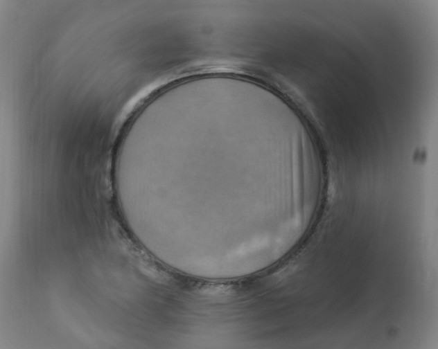 X0000113231174200910081358