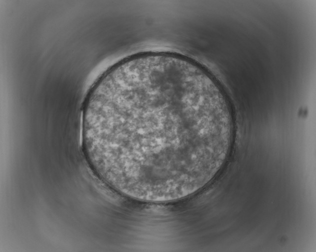 X0000113231175200910081358