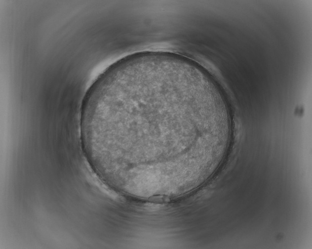 X0000113231176200910081358