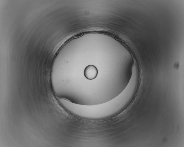 X0000113231177200910081358