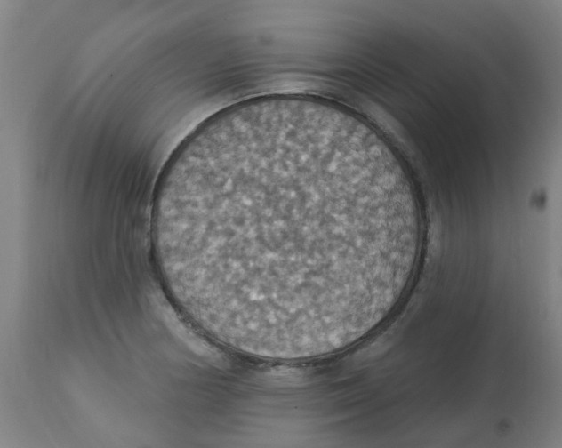 X0000113231178200910081358