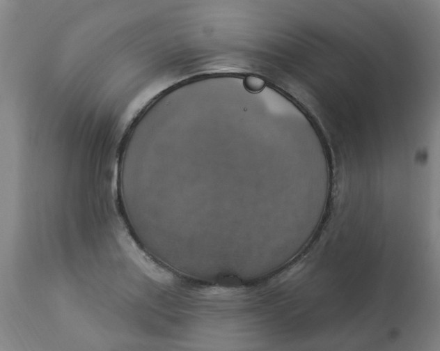 X0000113231179200910081358