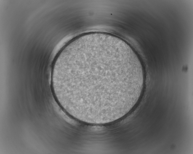 X0000113231180200910081358