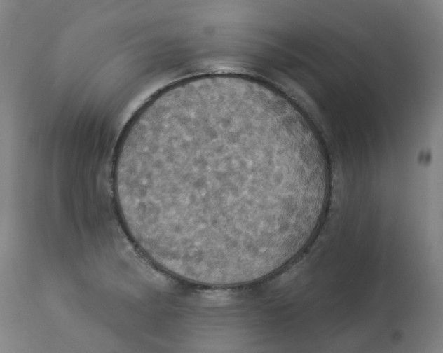 X0000113231182200910081358