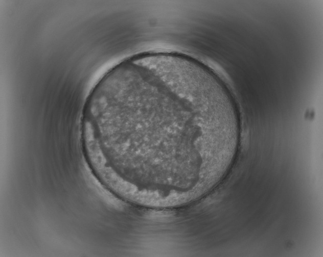 X0000113231183200910081358