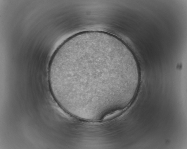 X0000113231184200910081358