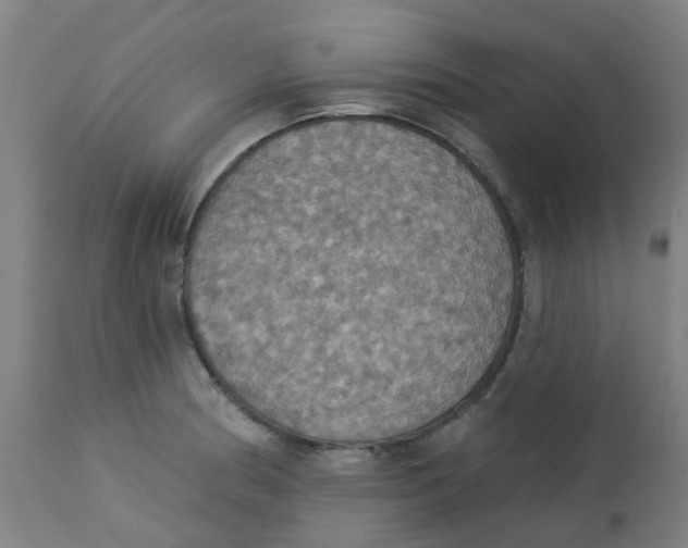 X0000113231186200910081358