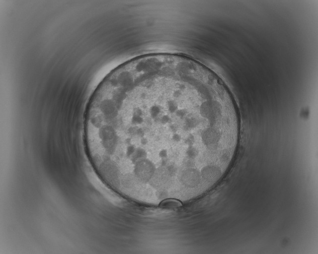 X0000113231187200910081358