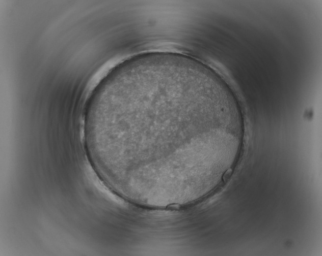 X0000113231188200910081358