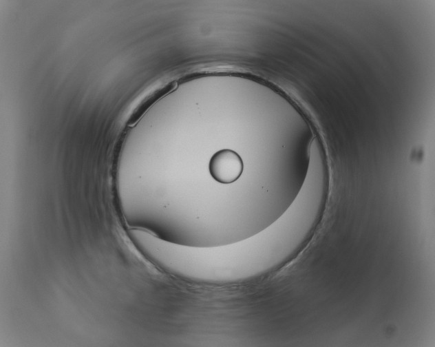 X0000113231189200910081358