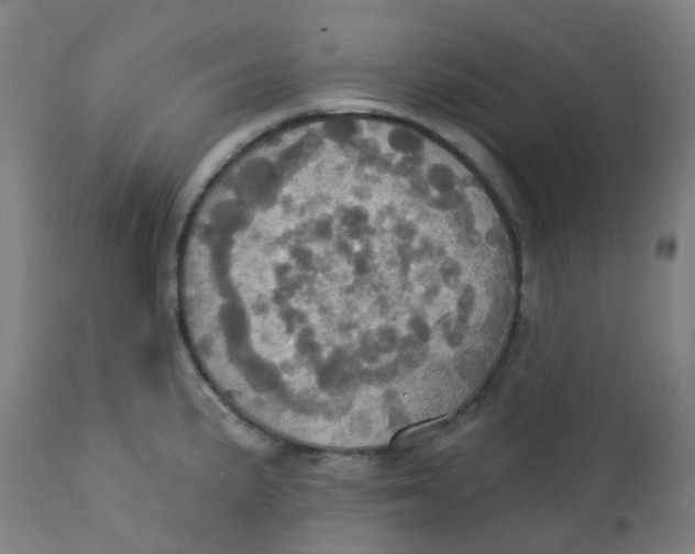 X0000113231191200910081358