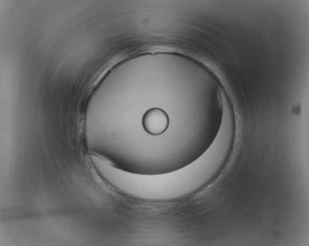 X0000113231193200910081358