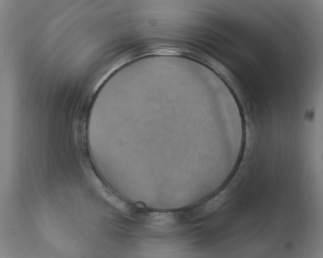 X0000113231194200910081358