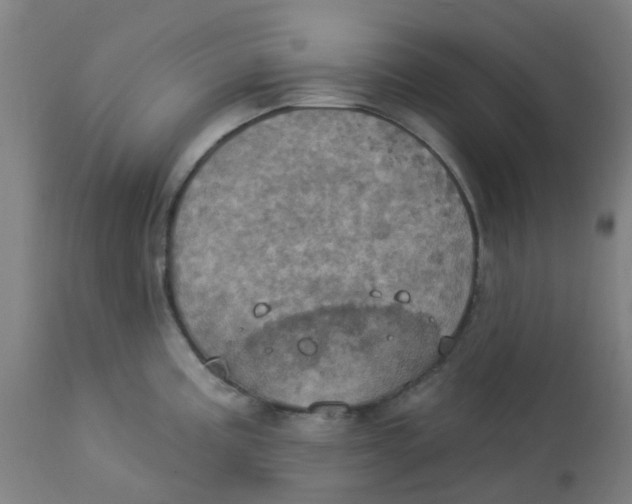 X0000113231195200910081358