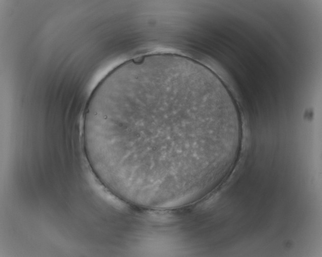 X0000113231198200910081358