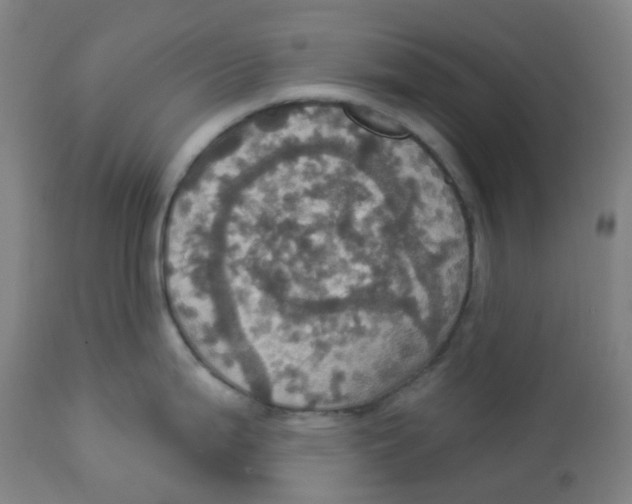 X0000113231199200910081358