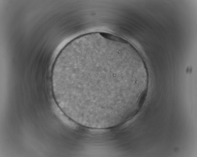 X0000113231200200910081358