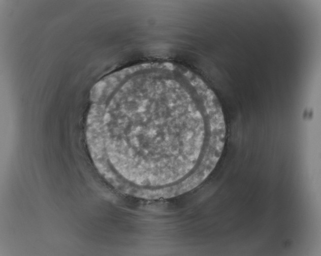 X0000113231201200910081357