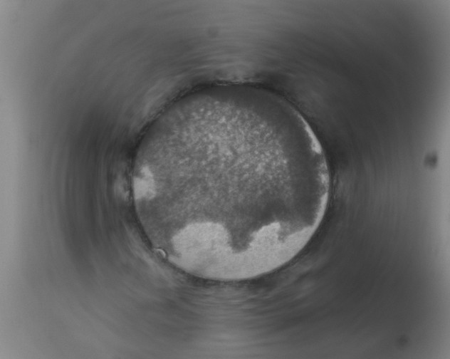 X0000113231202200910081357