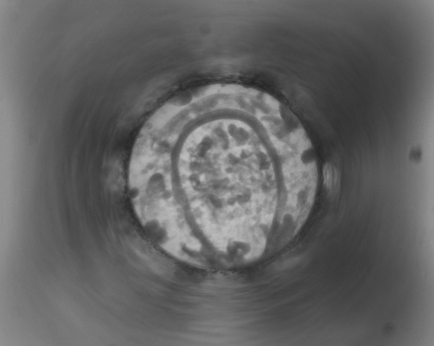 X0000113231203200910081357