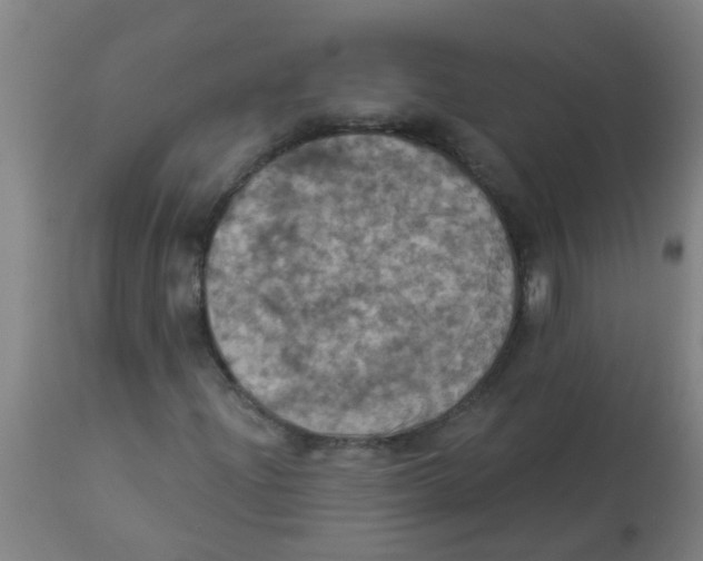 X0000113231204200910081357