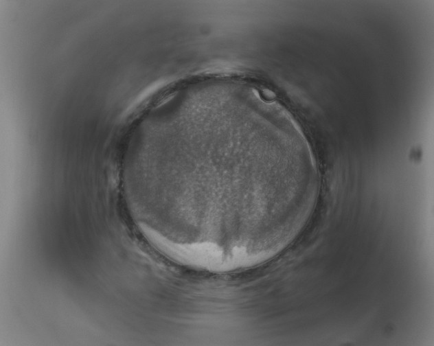 X0000113231206200910081357