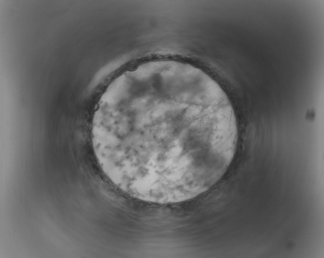 X0000113231207200910081357