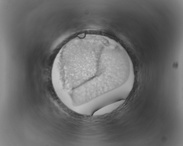 X0000113231208200910081357