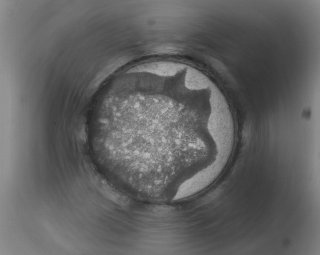 X0000113231209200910081357