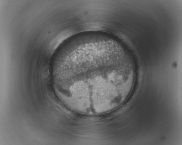 X0000113231210200910081357