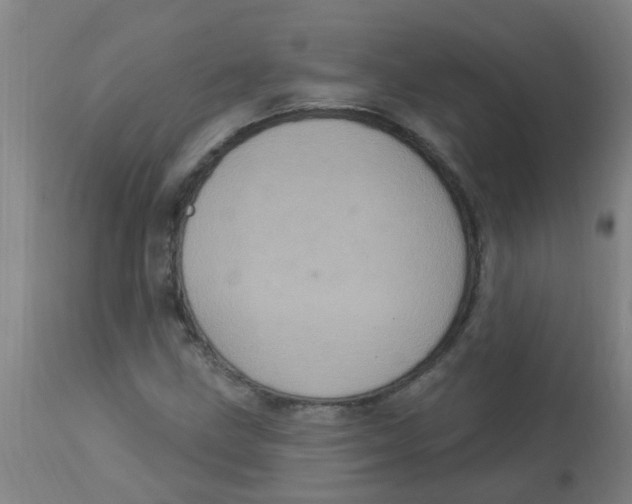 X0000113231211200910081357