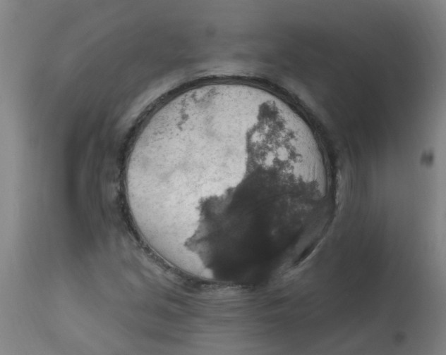 X0000113231213200910081357