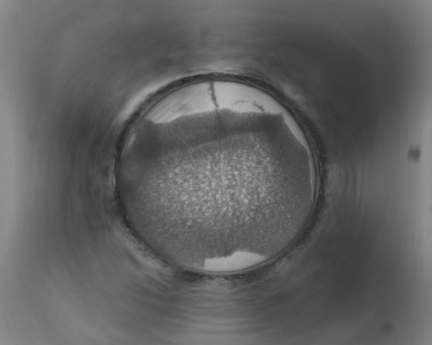 X0000113231214200910081357