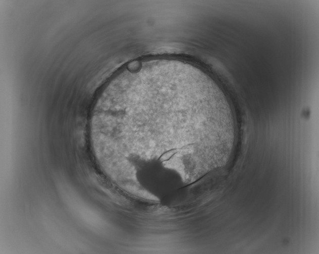 X0000113231217200910081358